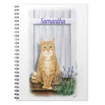 Orange Tabby Katze mit Lavender