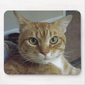 Orange Tabby-Katze Mousepad