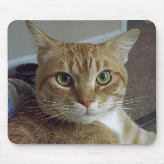 Orange Tabby-Katze Mousepad (Vorne)