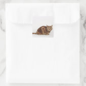 Orange Tabby Katze Quadratischer Aufkleber (Tasche)