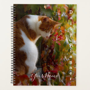Orange Tabby Katze - Tagesplaner- HAMbWG Planer