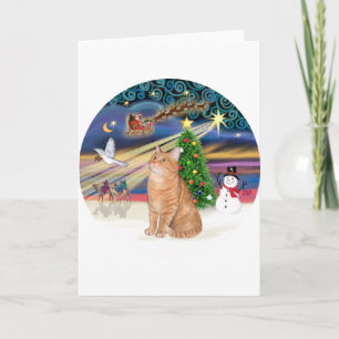 Orange Tabby Katze - Weihnachtszauber Feiertagskarte