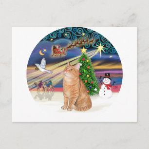 Orange Tabby Katze - Weihnachtszauber Feiertagspostkarte