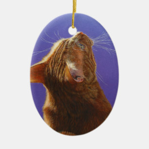 Orange Tabby-Katzen-Engels-Licht #2 Keramikornament