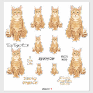 Orange Tabby-Katzen-Fahrwerk-Aufkleber-Set Aufkleber
