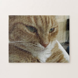 Orange Tabby-Katzen-Puzzle Puzzle