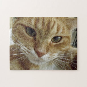 Orange Tabby-Katzen-Puzzle Puzzle