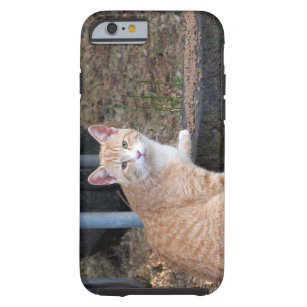 Orange Tabby-Katzen-Telefon-Kasten Tough iPhone 6 Hülle