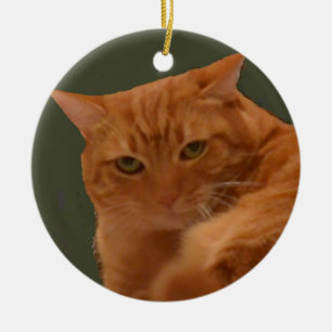 Orange Tabby-Katzenverzierung Keramik Ornament