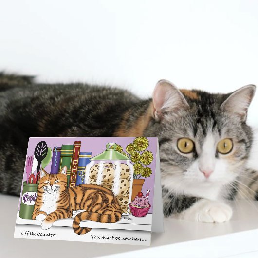 Orange Tabby Kitchen Counter Top Karte