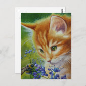 Orange Tabby Kitten & Bumblebee Postkarte (Vorne/Hinten)
