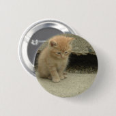 Orange Tabby Kitten Button (Vorne & Hinten)