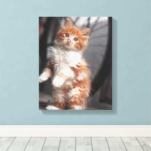 Orange Tabby Kitten Leinwanddruck (Insitu (Holzboden))