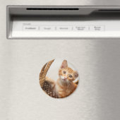 Orange Tabby Kitten Magnet (In Situ (Geschirrspüler))