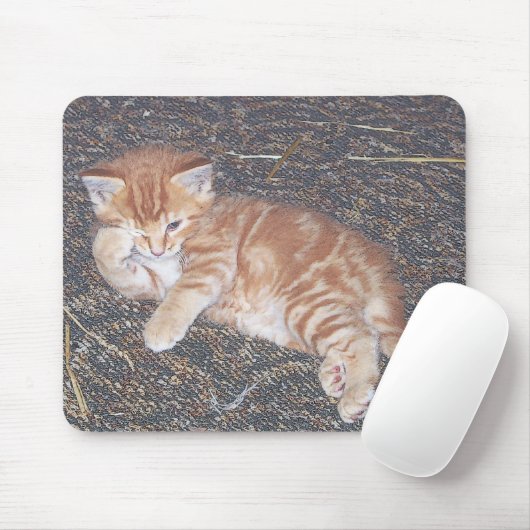 Orange Tabby Kitten Mousepad (Mit Mouse)