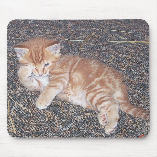 Orange Tabby Kitten Mousepad (Vorne)