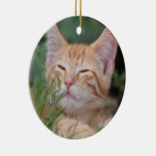 Orange Tabby Kitten Ornament (Rechts)