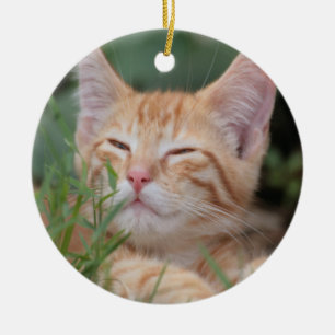 Orange Tabby Kitten Ornament