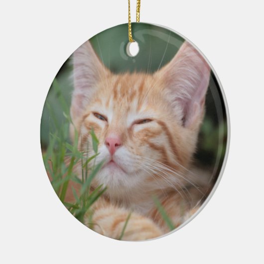 Orange Tabby Kitten Ornament (Links)