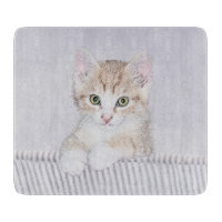 Orange Tabby Kitten Painting - Originelle Katze Ku