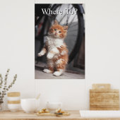Orange Tabby Kitten Poster (Küche)