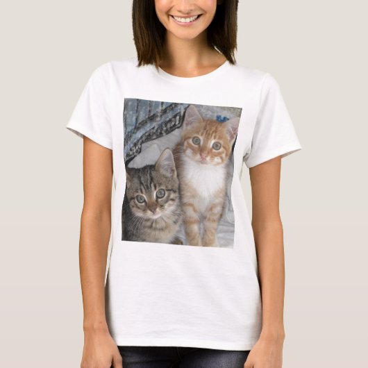 Orange Tabby Kittens T-Shirt (Vorderseite)