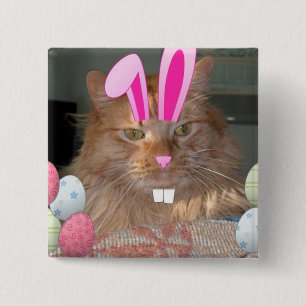 Orange Tabby Kitty Cat Button