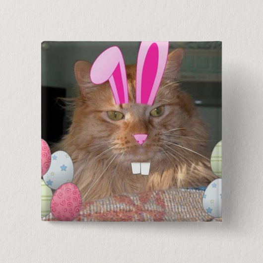 Orange Tabby Kitty Cat Button (Vorderseite)
