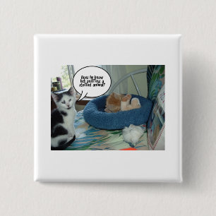 Orange Tabby Kitty Cat Button