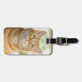 Orange Tabby Kitty Cat Gepäckanhänger (Vorderseite horizontal)