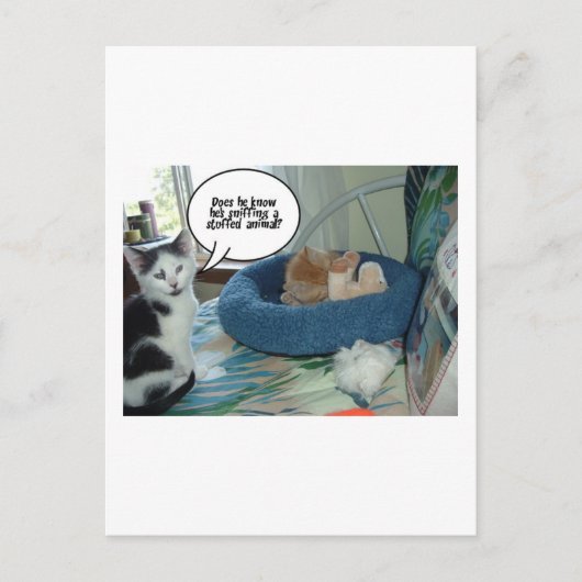 Orange Tabby Kitty Cat Postkarte (Vorderseite)