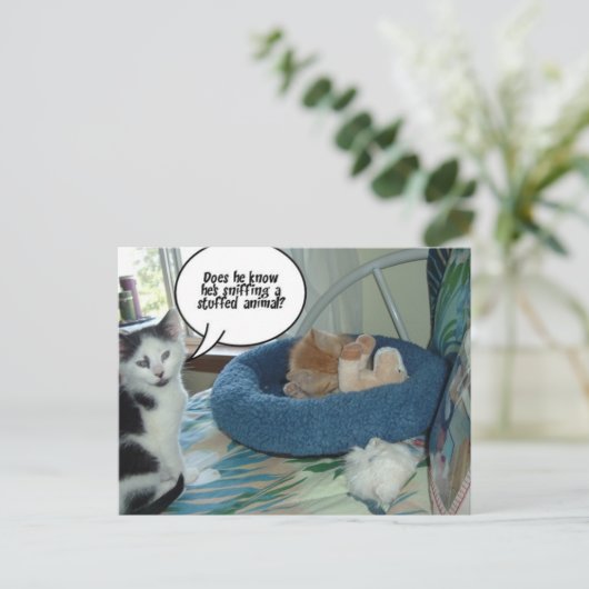 Orange Tabby Kitty Cat Postkarte (Stehend Vorderseite)