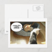 Orange Tabby Kitty Cat Postkarte (Vorne/Hinten)