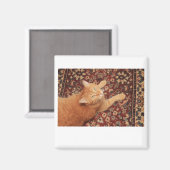 Orange Tabby Magnet (Vorderseite/Rückseite)