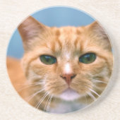 Orange Tabby-Miezekatze-Kätzchen-Katze Getränkeuntersetzer (Vorne)