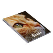 Orange Tabby mit den grünen Augen kundenspezifisch Notizblock (Rechte Seite)