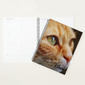 Orange Tabby mit grünen Augen nach Maß Planer (Anzeige)