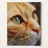 Orange Tabby mit grünen Augen nach Maß Planer (Rückseite)