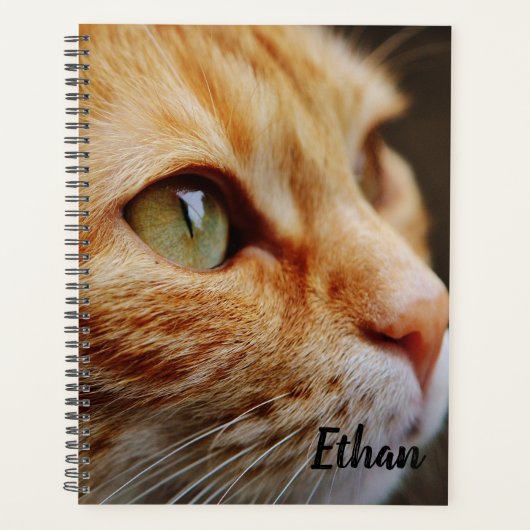 Orange Tabby mit grünen Augen nach Maß Planer (Vorderseite)