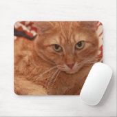 Orange Tabby Mousepad (Mit Mouse)