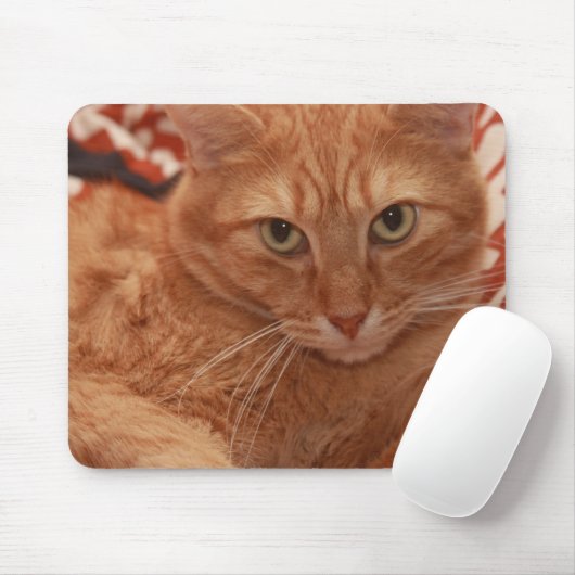 Orange Tabby Mousepad (Mit Mouse)