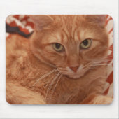 Orange Tabby Mousepad (Vorne)