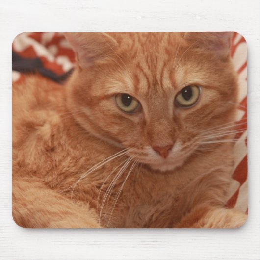 Orange Tabby Mousepad (Vorne)
