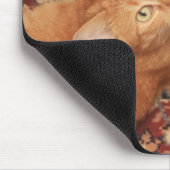 Orange Tabby Mousepad (Ecke)