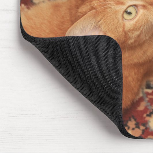 Orange Tabby Mousepad (Ecke)