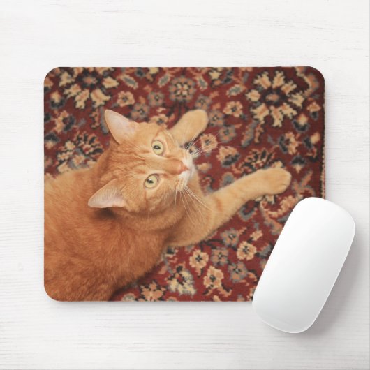 Orange Tabby Mousepad (Mit Mouse)