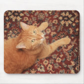 Orange Tabby Mousepad (Vorne)