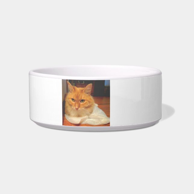 Orange Tabby Napf (Links)