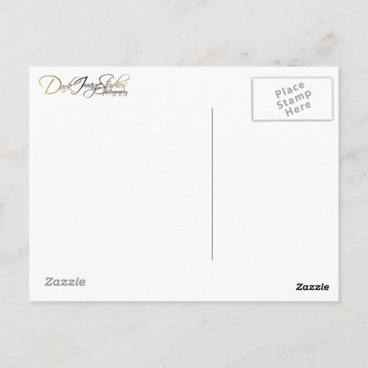 Orange Tabby Postcard Postkarte (Rückseite)