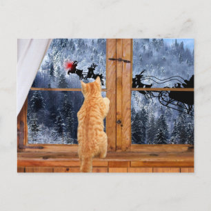Orange tabby red dot Christmas Feiertagspostkarte